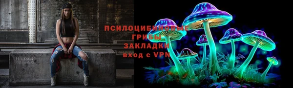 марки lsd Козельск