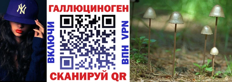 Купить где  Пугачёв  Псилоцибиновые грибы мицелий 